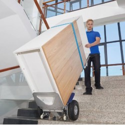 Diable monte-escalier 250 kg